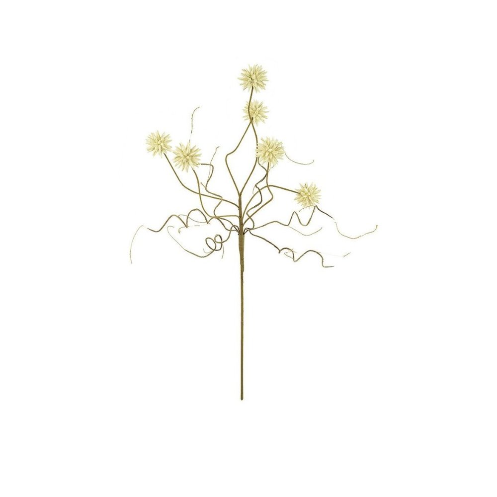 Botanica # 2443